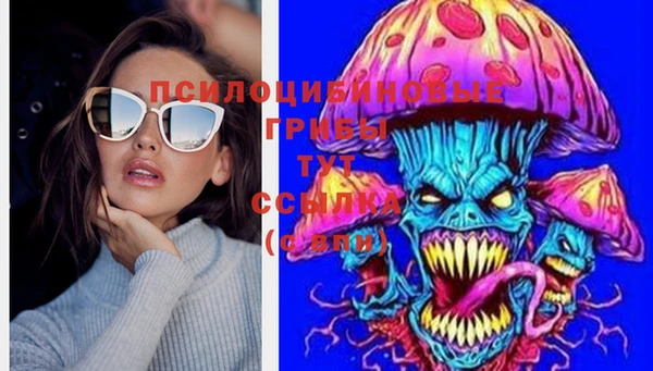 гидра Курчалой